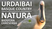 Urdaibai Bird Center