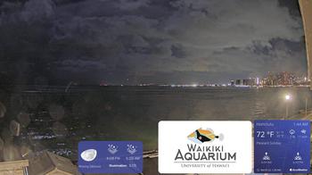 Waikiki Aquarium