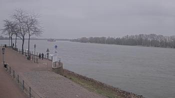 Rhine River, Rees