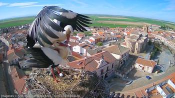 Madrigal de las Altas Torres