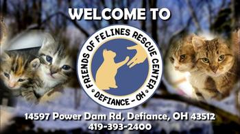 Friends of Felines’ Rescue Center