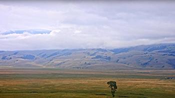 The National Elk Refuge