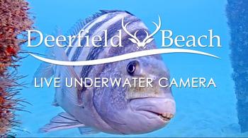 Deerfield Beach, Underwater