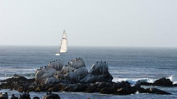 Monterey Bay Aquarium